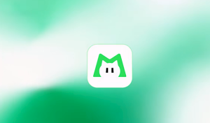 美团开源多模态AI模型：LongCat-Flash-Omni，实现全模态实时交互